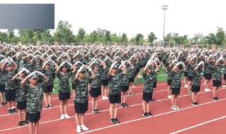 我真的很不错手语操