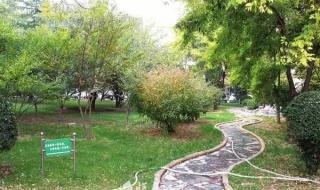 山西临汾师范大学 山西临汾师范大学