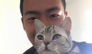 采耳躺采是什么意思 躺式采耳是什么意思