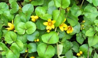 乙肝要治疗多长时间 治疗肝炎需要多少钱