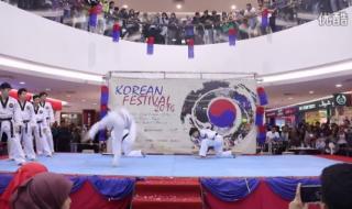 跆拳道虎队表演