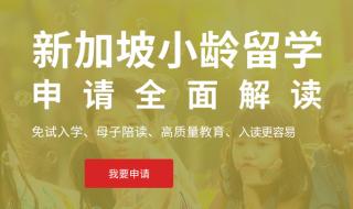 新加坡中介 新加坡中介