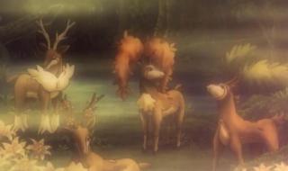 精灵宝可梦的ip是什么 宝可梦卡怎么看价值