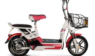 新日小龟王48V电瓶车出厂价是多少 新日电动车的价格