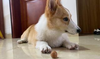 请你不要伤害我 请你不要伤害我